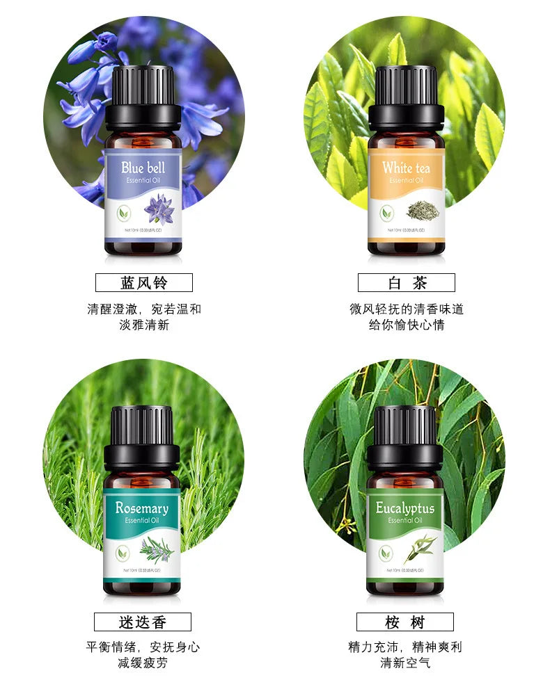 Humidifier perfume Freshener