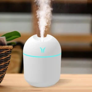Pure mist Humidifier